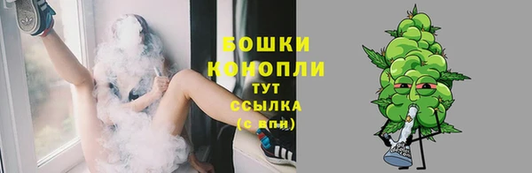 дурь Верея