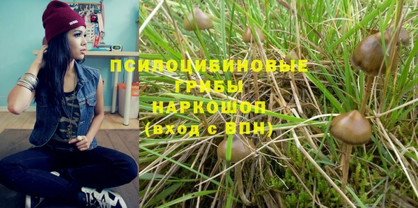 сатива Сатка