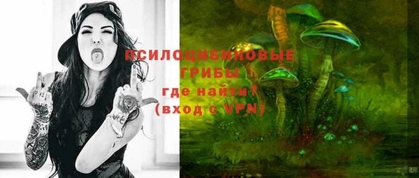 таблы Верхний Тагил