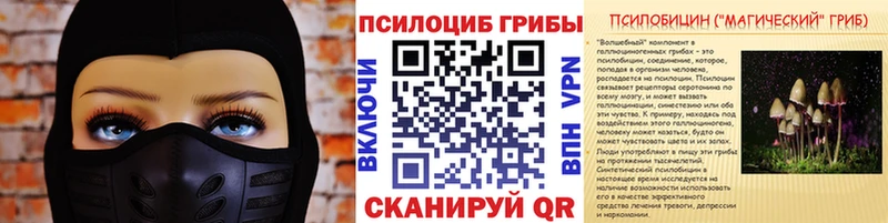 Галлюциногенные грибы мухоморы  где найти наркотики  Качканар 