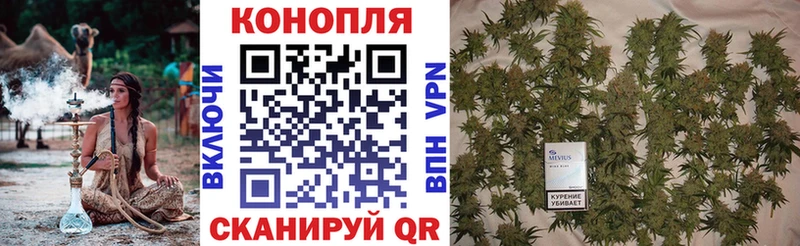 даркнет сайт  Качканар  omg tor  МАРИХУАНА Amnesia 